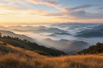 Poster - Scenic view of golden grass with misty mountain layers at sunrise, under a colorful sky.