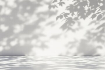 Poster - Abstract light shadow of leaves on a white wall and floor background.