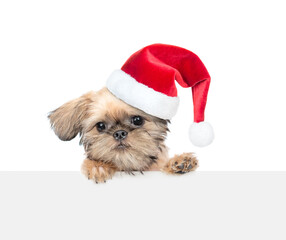 Poster - Cute Brussels Griffon puppy wearing santa hats looking above blank white banner. Empty space for text. Isolated on white background