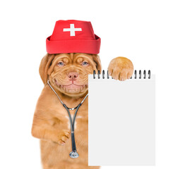 Poster - Smiling Mastiff puppy dressed like a doctor with medical cap and  stethoscope  holds blank notebook. Isolated on white background