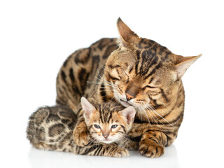 Poster - adult bengal cat hugs and licks tiny kitten. isolated on white background