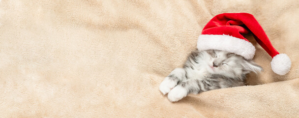Fototapete - Cozy maine coon kitten wearing red santa's hat sleeps under warm blanket on a bed at home. Top down view. Empty space for text
