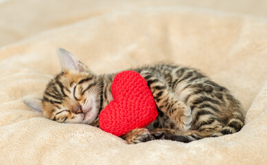 Poster - Cozy tiny bengal kitten sleeps with red heart on warm bed