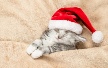 Poster - Cozy maine coon kitten wearing red santa's hat sleeps under warm blanket on a bed at home. Top down view