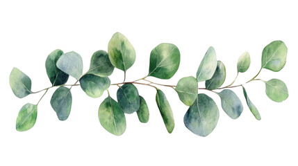 Watercolor bouquet of leaves on transparent background
