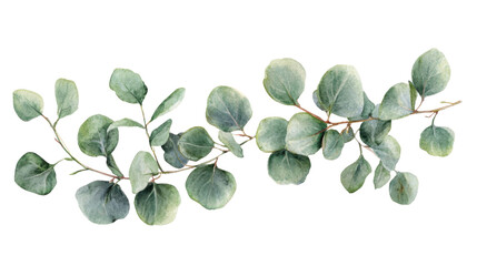 watercolor bouquet of leaves on transparent background