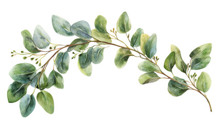 Watercolor bouquet of leaves on transparent background