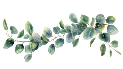 watercolor bouquet of leaves on transparent background