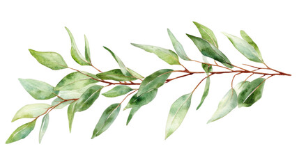 watercolor bouquet of leaves on transparent background