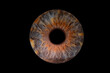© Analle - iris beauté yeux photo des yeux photos d'iris