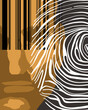 © Westend61 - Abstract illustration of a man's face covered with a barcode and large fingerprint representing identification and control concept