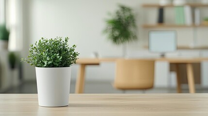 Leinwandbilder - Indoor plants minimalist concept. A vibrant green potted plant on a desk, enhancing a modern office space ambiance.