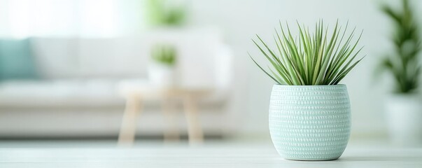 Leinwandbilder - Spa inspired design minimalist concept. A vibrant indoor plant in a modern pot enhances a serene and fresh living space.