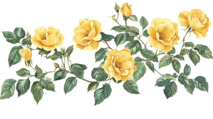 watercolor flower of tropical spring floral yellow on transparent background