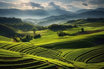 Poster - Fields with different crops land landscape panoramic.