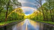 © Ari - Rainbow over a Wet Road in a Lush Forest