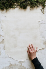 Aufkleber - A hand pulling back an edge of moss to highlight distinct layers: a beige backing and a pristine whi