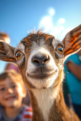 Poster - A charming miniature goat interacting with children in a backyard play area, highlighting its friend