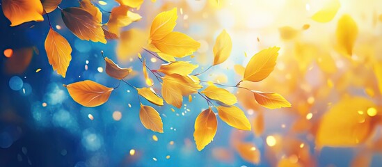 Canvas Print - Vibrant yellow orange autumn leaves scattered against a blue background with a warm lens flare creating depth and a serene atmosphere