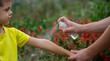 © Anna - mother applies an aerosol insect spray to the child's body. Selective focus