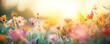 © PBMasterDesign - Sustainable gardening idea. Vibrant flowers in a sunlit meadow creating a serene atmosphere of natural beauty.