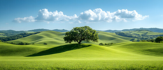 Sticker - Lone tree, rolling hills, sunny sky, pastoral scene