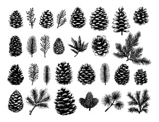 Wall Mural - Pine Cones And Branches Linocut Print Style Icons Set On White Winter Forest Branches Nature Icons Carved Symbols Nature Prints Woodland Elements Bold Print Illustrations