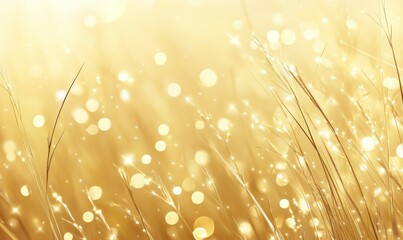 Wall Mural - Golden blades of grass softly illuminated by warm sunlight, with bokeh effects creating a dreamy, serene outdoor scene during the golden hour