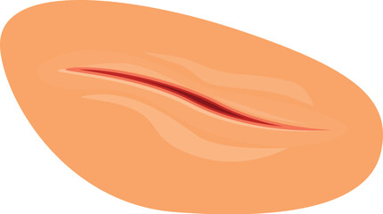 Poster - Close up of a single peanut showing the red line where it splits open
