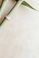 Poster - Bamboo stalks elegantly arch inward, forming a circular frame perfect for displaying branding text or product images against a soft beige background. Natural light enhances the tranquil, organic feel