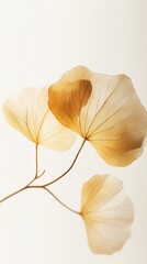 Wall Mural - Delicate Dried Leaves: A Warm Embrace of Nature's Art