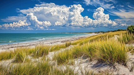 Wall Mural - Coastal dune grasses, beach, ocean, storm clouds, summer