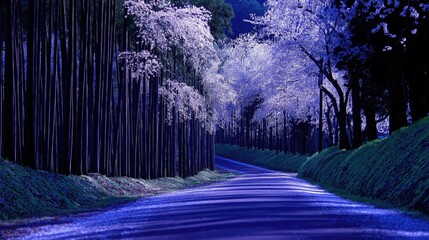 Wall Mural - tranquil pathway lined with blooming cherry blossoms and bamboo trees, creating a peaceful atmospher