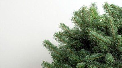 Poster - Christmas tree close-up with greenery and blank space for holiday text and messages on a light background