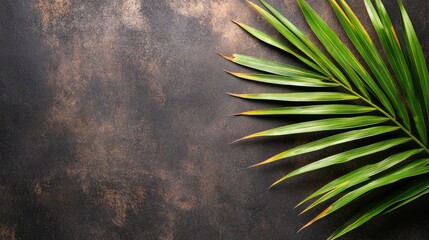 Poster - Detail of fresh palm leaf on textured dark background with ample empty space for custom text or design elements