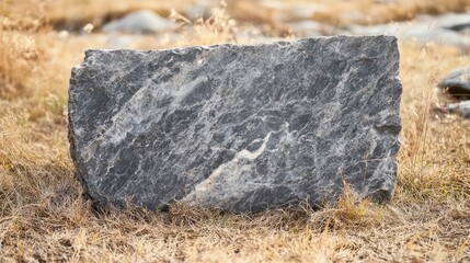 Aufkleber - Close up of a large gray granite slab in a dry field with natural scenery and ample space for text or design integration.