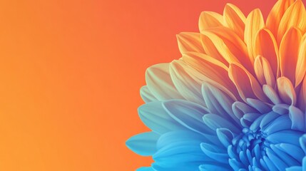Poster - Chrysanthemum close up with vibrant blue and orange gradient background featuring ample copy space for text and design elements