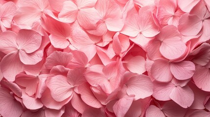 Poster - Delicate pink flower petals background with soft textures ideal for natural beauty themes and text overlay space