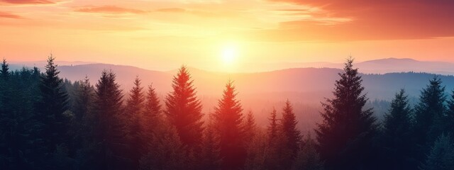 Poster - Dramatic sunset illumination over a tranquil forest with ample empty space for text and design elements