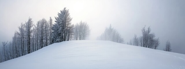 Poster - Winter landscape with fresh snow and misty mountain backdrop creating serene atmosphere suitable for outdoor adventure advertisements