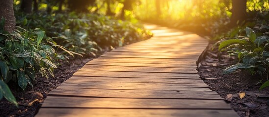 Poster - Serene wooden pathway in lush greenery illuminated by soft sunlight offering empty space for text in outdoor photography settings.