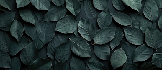 Poster - Tropical leaves shadow on black paper background minimalist design for natural theme with ample copyspace for text placement