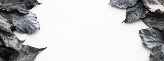 Leinwandbilder - Dried dark gray leaves arranged on a white background with ample empty space for text or design elements for creative use