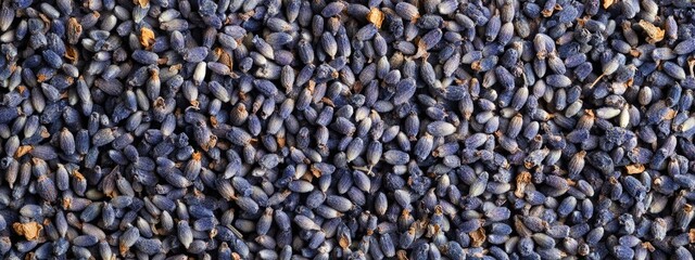 Aufkleber - dried lavender flowers texture close-up with blank space for text or design applications suitable fo