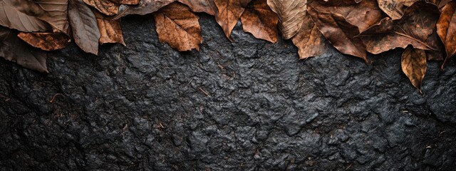 Poster - Dried Leaves on a Walking Path with Dark Ground and Ample Space for Text or Graphic Overlay