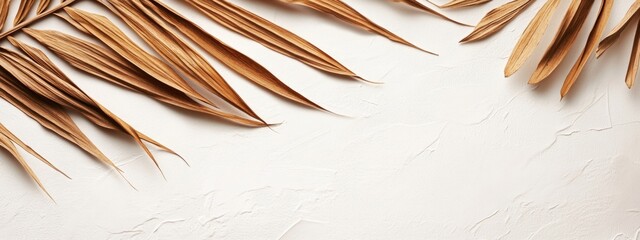 Leinwandbilder - Dried brown coconut palm leaf on light textured background with ample copy space for text and design elements