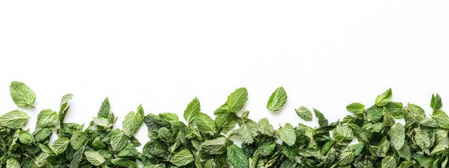 Fototapete - Dried mint leaves arranged on a white background with ample space for text or branding, ideal for culinary or natural product promotions
