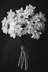 Wall Mural - White Flowers in Vase