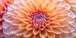 © Sutasinee - An intricate close-up of a dahlia flower with delicate petals and center details, dahlias, colorful flowers