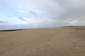 sand dune in a pristine environment with cloudy sky